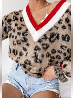 Style Instinct Leopard Print Color Block V-Neck Sweater